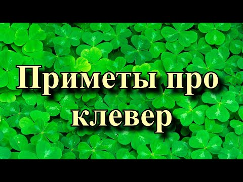 Видео: Для клевера, что означает?