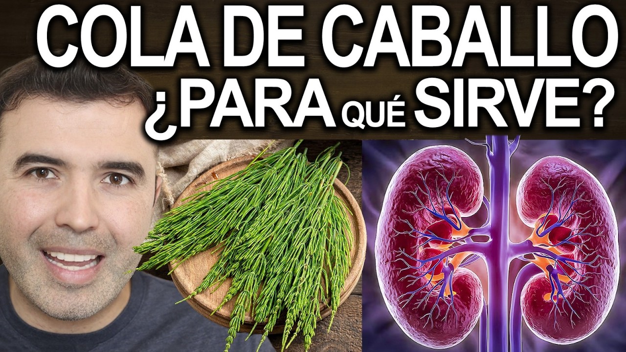 TE DE COLA DE CABALLO EN AYUNAS - Para Que Sirve, Beneficios Y Contraindicaciones Para Tu Salud