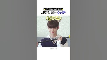 성장한, 웅장한, 그리고 수상한