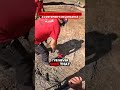 #concrete #building #trending #tips #concretework #victoryoutdoorservices #work #viralvideo