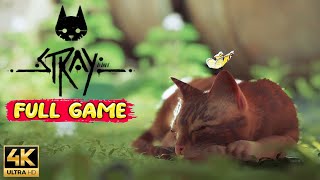STRAY Gameplay Walkthrough FULL GAME [4K ULTRA HD]  No Commentary