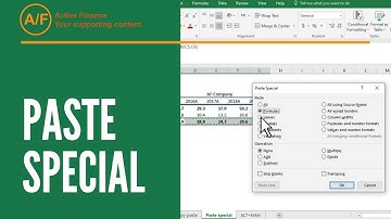 10 Pasting Values Formulas and Formats with Paste Special in Hindi/Urdu