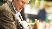 Hachiko A Dogs Story Original Trailer With Richard Gere