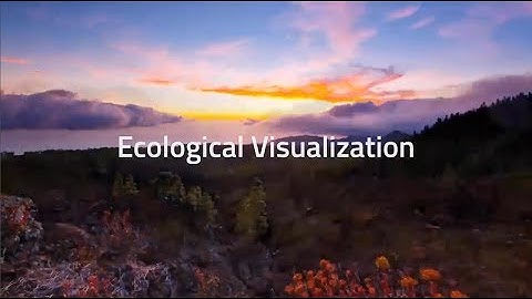 Ecological Visualization: Biofeedback Design for Personal Informatics Interfaces