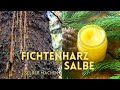 Fichtenharzsalbe selber machen | Pechsalbe | Naturkosmetik aus dem Wald