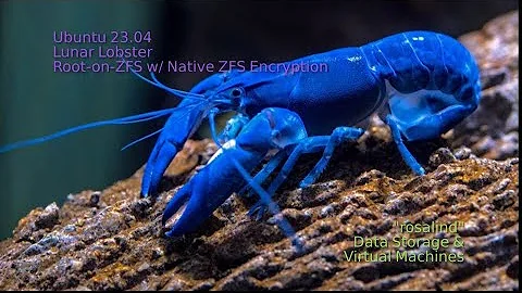 Ubuntu 23.04 Lunar Lobster Realtime ZFS Installation Walkthrough --- ([ timestamps in description ])