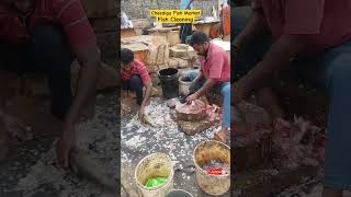 Fish Cleaning|  Cheediga Fish Market| P johnsi| Kakinada #shorts #cheediga #fishmarket