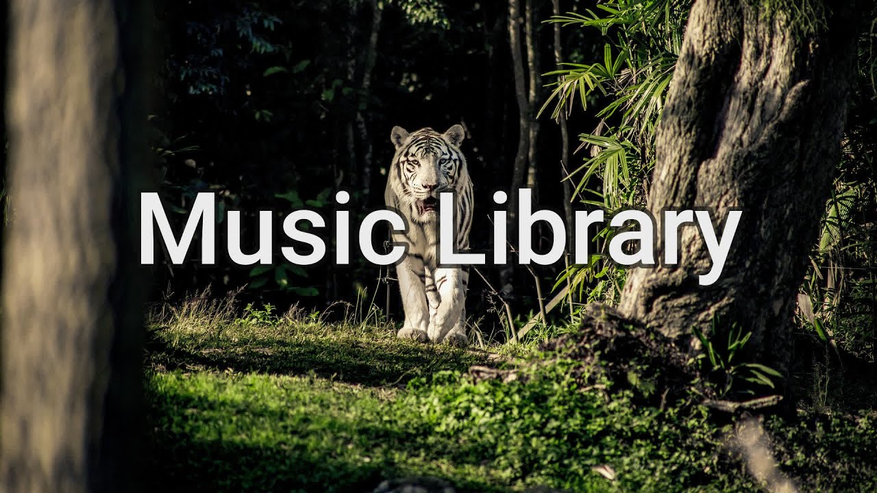 Stalking the Prey by Purple Planet Music