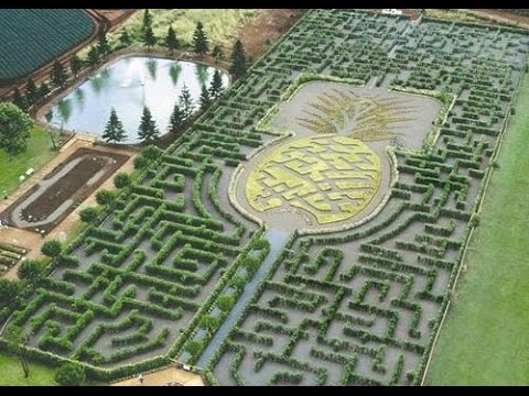 World S Largest Garden Maze Wahiawa Hawaii Us Youtube