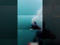 Found a Gun, Then a Shipwreck