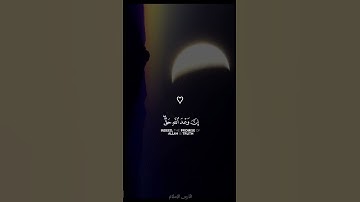 لا اله إلا الله #لااله_الا_الله_محمد_رسول_الله #قران_كريم #اتقوا_الله #تلاوة_خاشعة #فلسطين