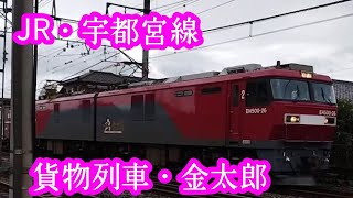 【JR・宇都宮線】上野東京ライン・貨物列車・金太郎!!ゆっくりです。