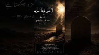 surah Al Imran sound of egzoniIbrahimi #duet #egzonibrahimi #answer #quran #memorize