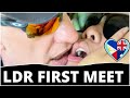 Ldr first ever meeting meet up  filipina girlfriend australia manila cebu phillipines 