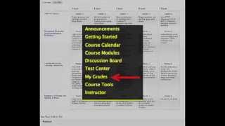 Discussion Board Grading Rubric
