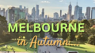 Melbourne in Autumn, Victoria, Australia Travel Vlog 156, 2023