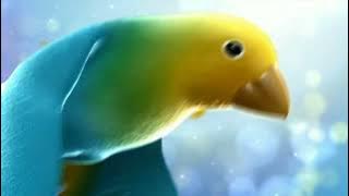 Mediacorp Vasantham Ident (2013-Oct 2018)