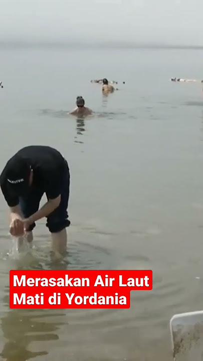 BanyakTuris Mandi telanjang di laut mati Yordania #shorts