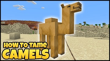How To TAME A CAMEL In MINECRAFT