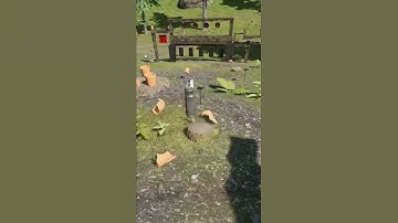 Target practice with the Eagle  #shorts