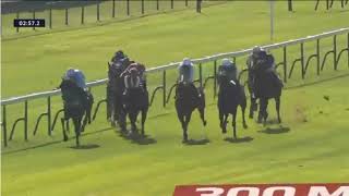 RACE 1 ,  PARISLONGCHAMP ,FRANCE 03 OCT 2026 screenshot 2
