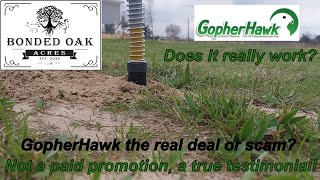 This is not a paid promotion, Gopher Hawk Review! #bondedoakacres #farmlife #VLOG #gopherhawk