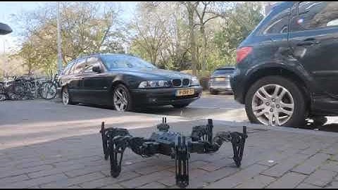 Hexapod project
