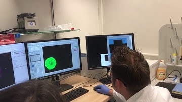 High Content Imaging of 3D In Vitro Cell Culture with InSphero & Yokogawa