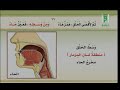 وسط الحلق منطقة لسان المزمار العين ع الحاء ح 