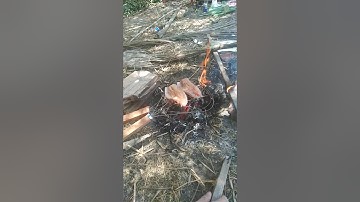 Cá lóc nướng than hồng. 15/03/2020