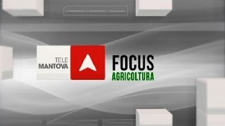 FOCUS AGRICOLTURA 2a STAGIONE - PUNTATA 24 - 12 MARZO 2016