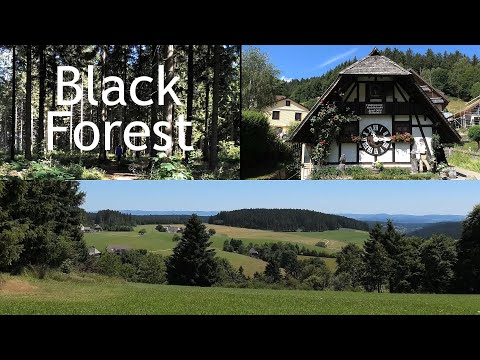 GERMANY: Black Forest, sights & scenery 4K