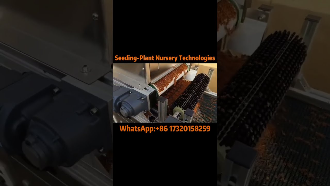 Revolutionize Your Gardening Introducing The Fully Automated Vegetable Seed Seeding Machine Plant