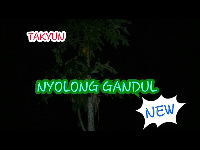 Takyun Nyolong Gandul class=