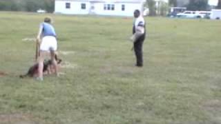 More bark and hold training