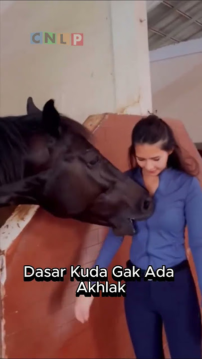 Soraya Rasyid Di Gigit Kuda #sorayarasyid #bedahrumahgtv #bedahrumah