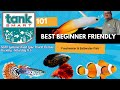 TankSmart 101 w/ Aqua Alex: Beginner Friendly Freshwater & Saltwater Fish