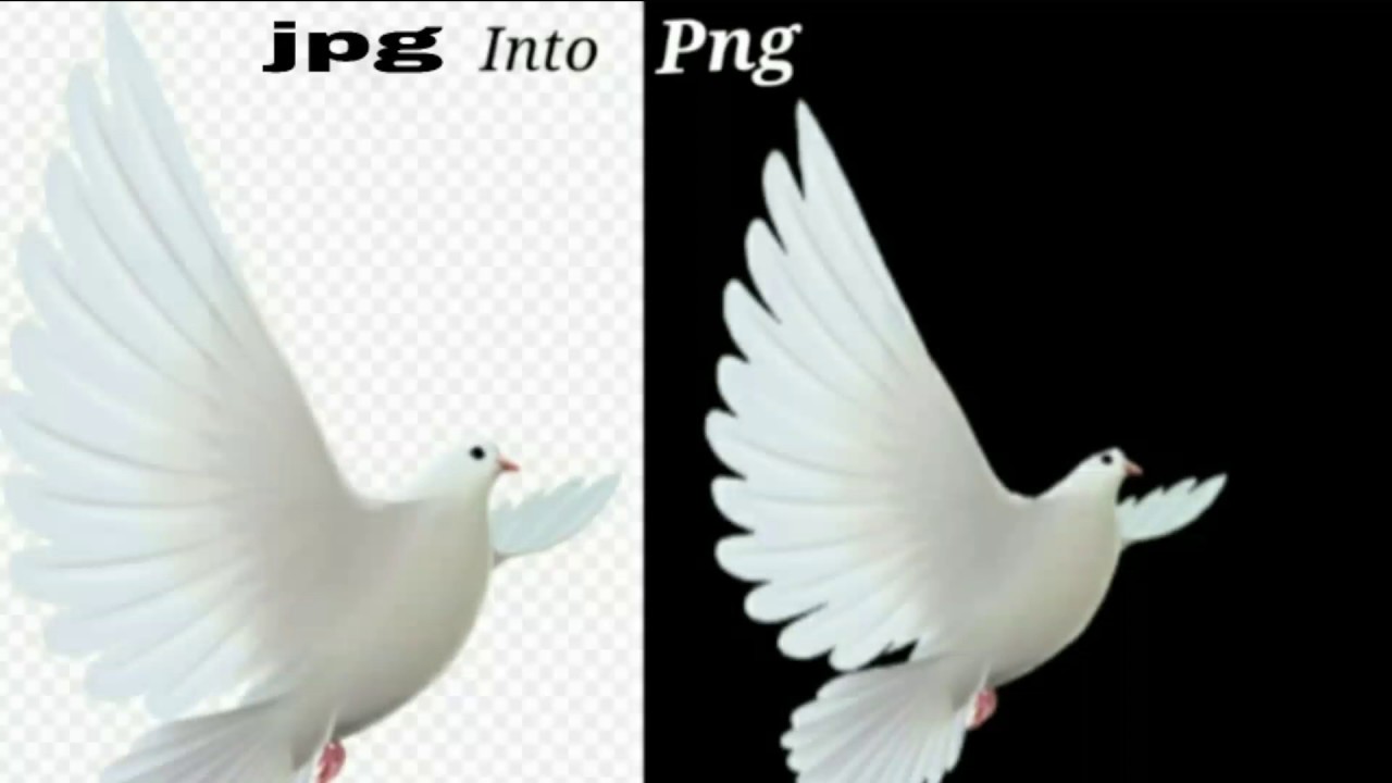 How to convert JPG into PNG || in mobile phone|| - YouTube