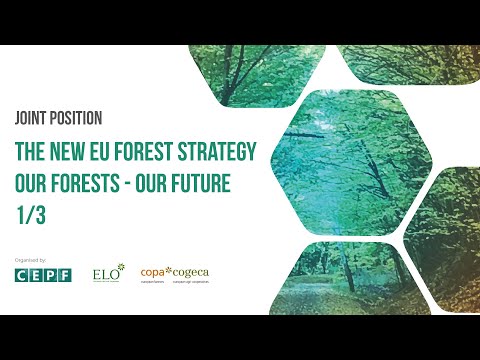 Joint position | The New EU Forest Strategy - our forests, our future 1/3