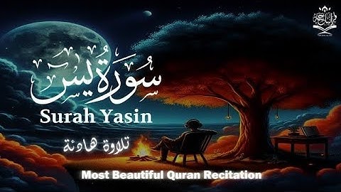 سورة يس أرح سمعك مع تلاوة طيبة للقارئ طارق محمد Surah Yasin
