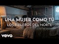 Los Rieleros Del Norte - Una Mujer Como Tú (Visualizer)
