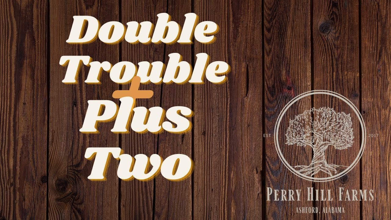 Double Trouble Plus Two - YouTube
