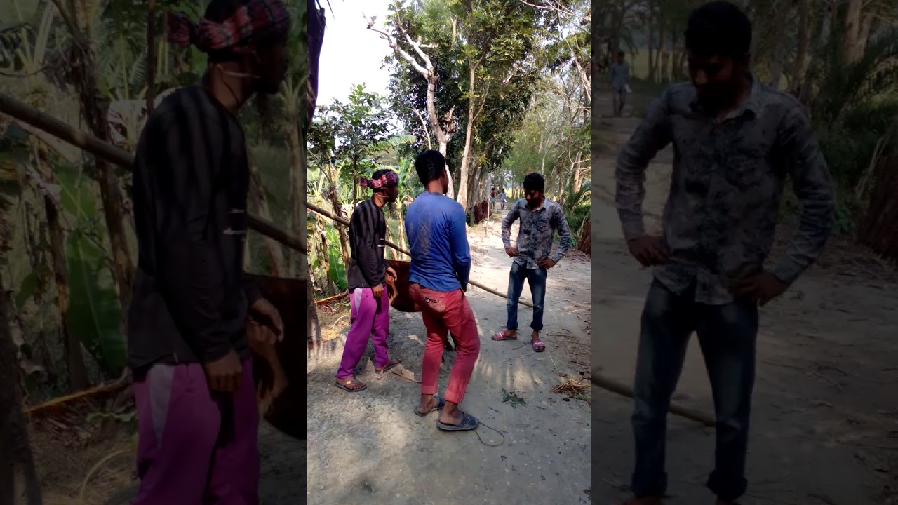 Nakal mojibore  pollibidut  R  O  W   leabour