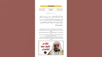 الآية(140) من سورة النساء//القارئ الشيخ سعد الغامدي