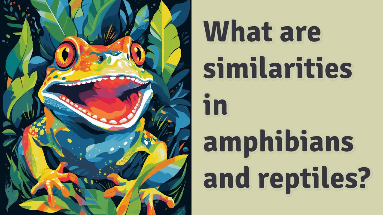 What are similarities in amphibians and reptiles? - YouTube