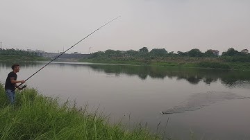 Câu Cá Ba Tiêu Ở Sông Đáy Và Cái Kết Bất Ngờ GÃY CẢ CẦN CÂU