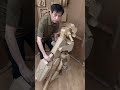 ダンボールトランスフォーム【作品紹介】 #shorts
