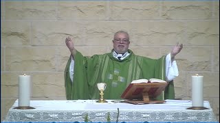 (Português) Festa do Batismo do Senhor - Branco - 11 de Janeiro 2026