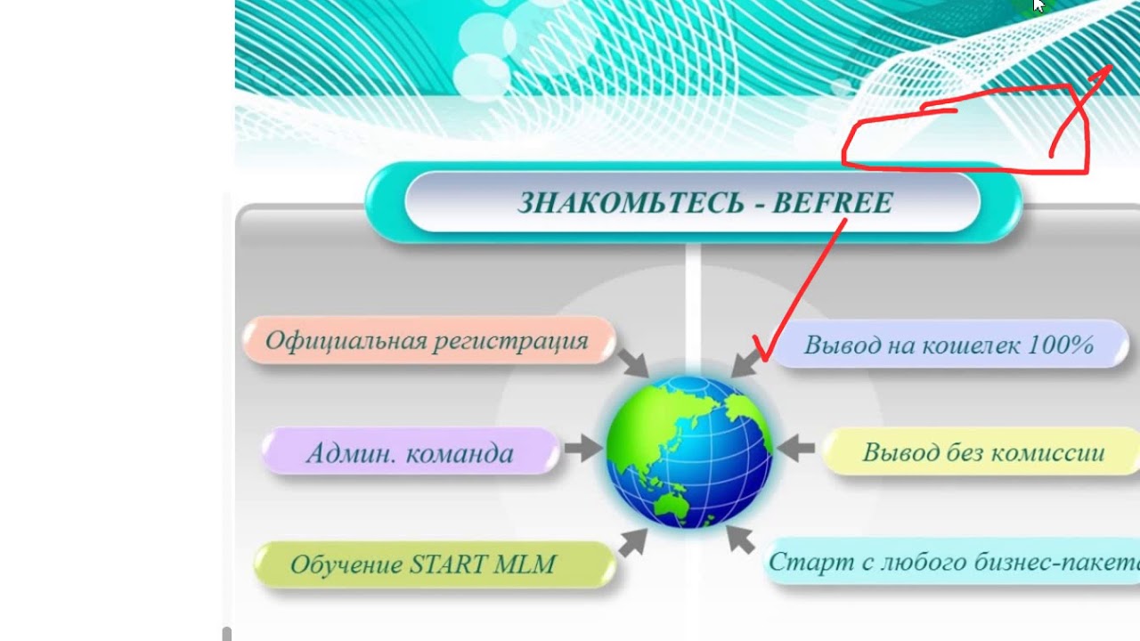 Бифри Интернет Магазин Написать Жалобу