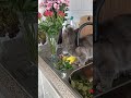 🐠‍в РџРѕРјС С РЅРёРє 🐠‍в 🐠‍в РџРѕРјС С РЅРёРє 🐠‍в